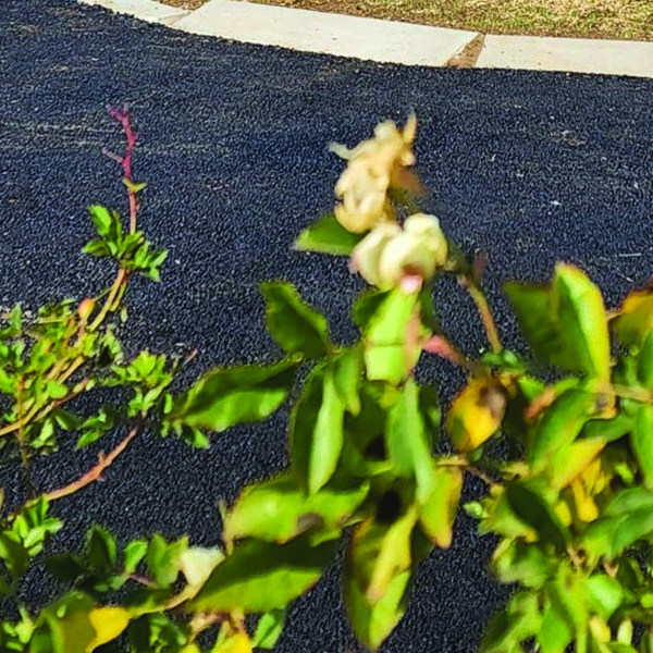 SN Tar Driveways